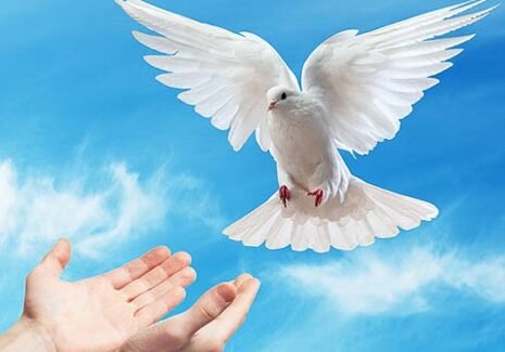 Modlitwa o Owoce Ducha Świętego