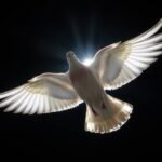 Obraz białego gołębia lecącego w całkowicie ciemnej przestrzeni z małym białym światłem za nim