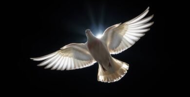 Obraz białego gołębia lecącego w całkowicie ciemnej przestrzeni z małym białym światłem za nim